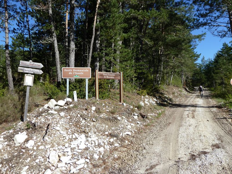 reyniere_avril_2011_04.jpg