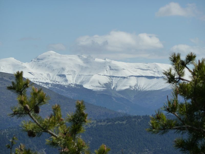 reyniere_avril_2011_24.jpg