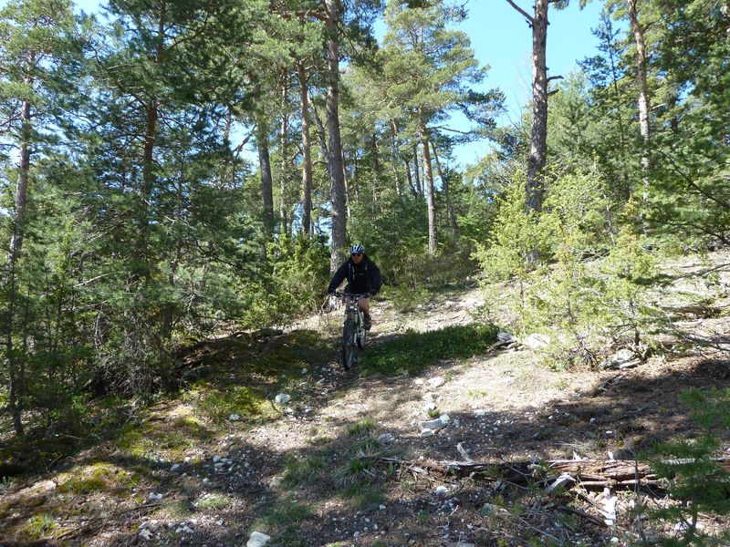 reyniere_avril_2011_29.jpg