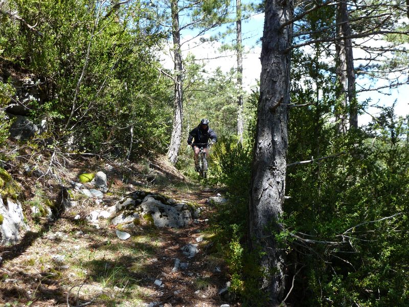 reyniere_avril_2011_46.jpg