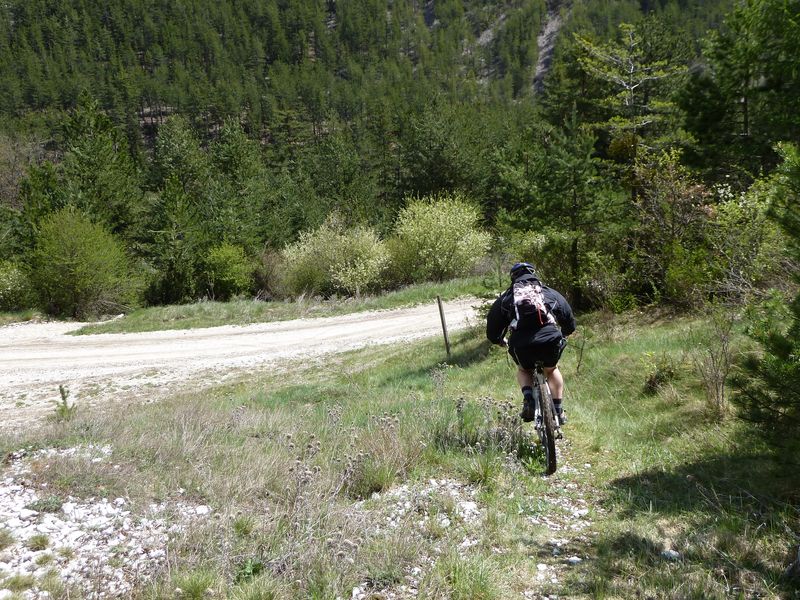 reyniere_avril_2011_50.jpg