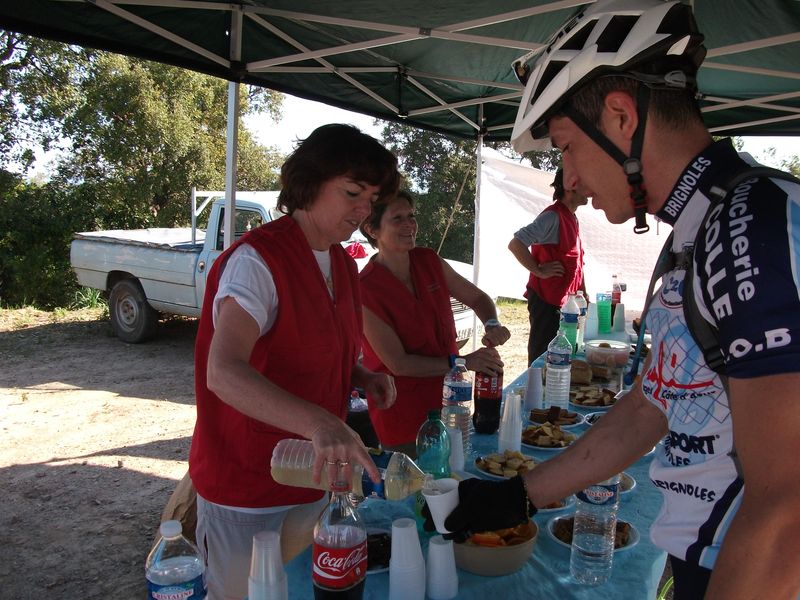sangliers_2011_09_1.jpg