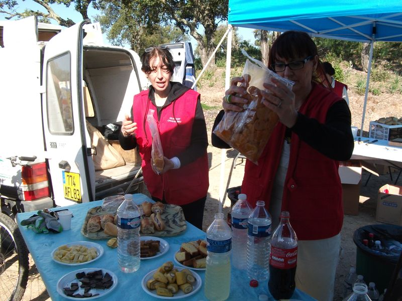 sangliers_2011_10_1.jpg