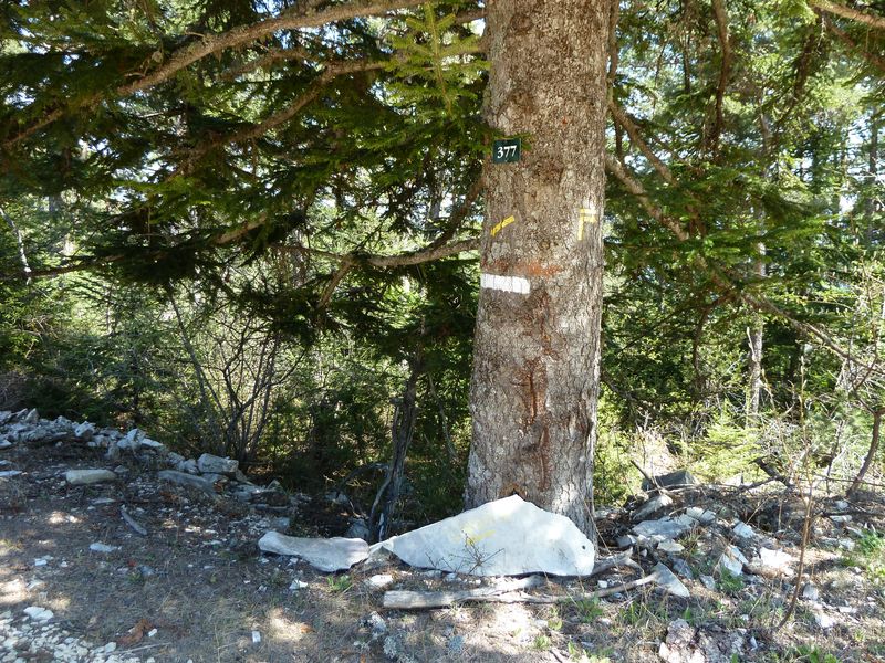 sentier_du_villard_2011_09.jpg