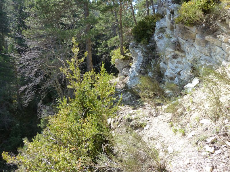 sentier_du_villard_2011_12.jpg