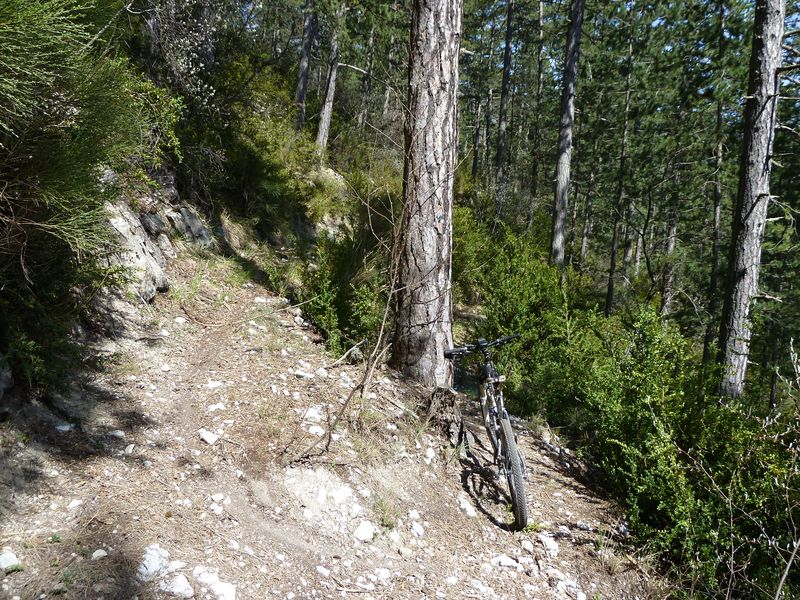 sentier_du_villard_2011_18.jpg