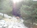 Sallanches_281129.JPG
