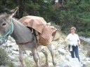 Sallanches_281429.JPG