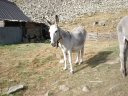 Sallanches_282929.JPG