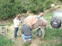 Sallanches_28329.JPG