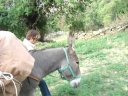 Sallanches_28529.JPG