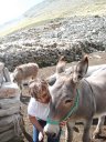 Sallanches_286629.JPG