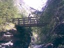 chasse_rougnouse_28229.jpg