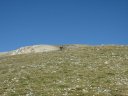 cheval_blanc_41.jpg