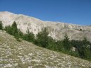 cheval_blanc_45.jpg