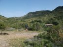 chiran__13_07_2010_08.jpg