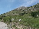 chiran__13_07_2010_25.jpg