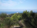 faron_26_09_2010_36.jpg