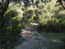 la_valette_le_revest_05.jpg