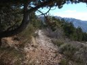 moustier_fev_2011_20.jpg