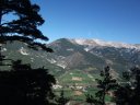 petit_cordoeil_antenne_12.jpg