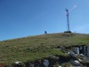 petit_cordoeil_antenne_34.jpg