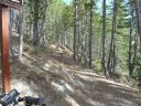piegut_avril_2011_12.jpg