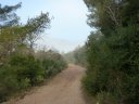 pilon_st_clement_fev_2011_03.jpg