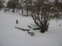 rando_chasse_10.jpg