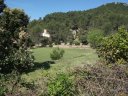 reganas_2011_15_1.jpg