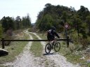 reyniere_avril_2011_25.jpg