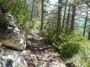 reyniere_avril_2011_32.jpg