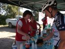 sangliers_2011_09_1.jpg