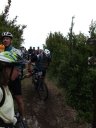 terres_noires_2010_16.jpg