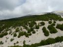 ventoux_2011_24_1.jpg