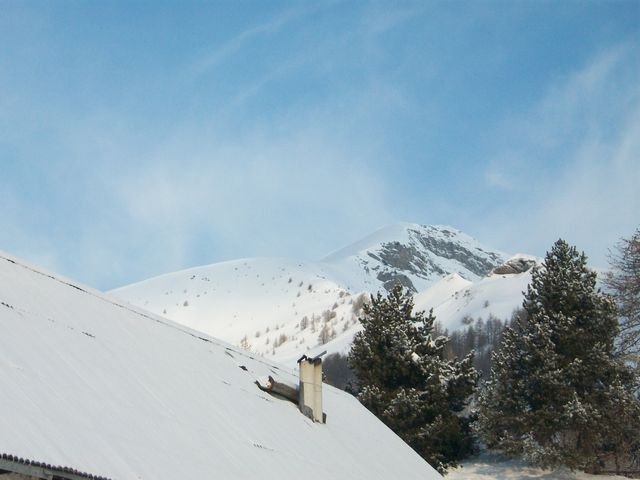 valdemars_1_2010_04.jpg