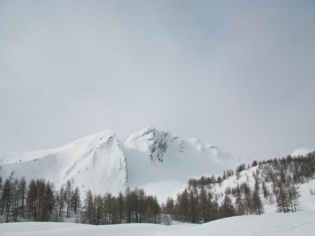 valdemars_1_2010_06.jpg