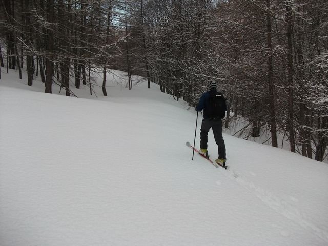 valdemars_2010_05.jpg
