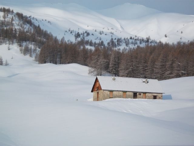 valdemars_2010_10.jpg