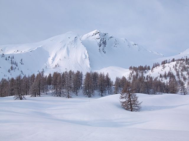 valdemars_2010_11.jpg