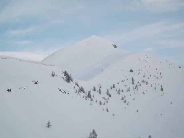 valdemars_2010_21.jpg