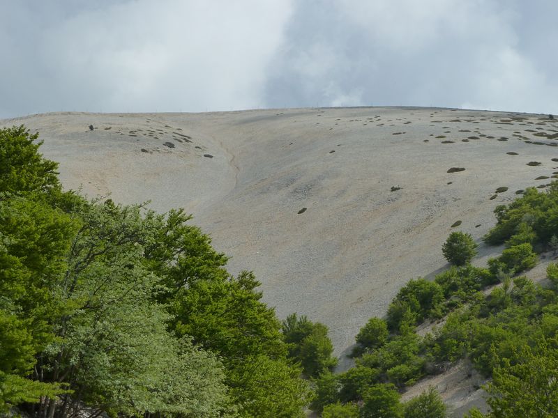 ventoux_2011_19_1.jpg