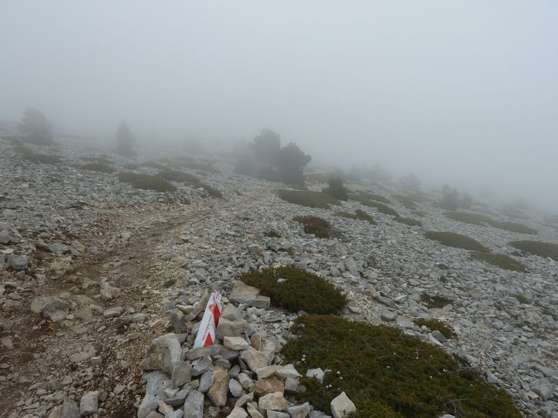 ventoux_2011_45_1.jpg
