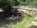 IMG_5049.jpg