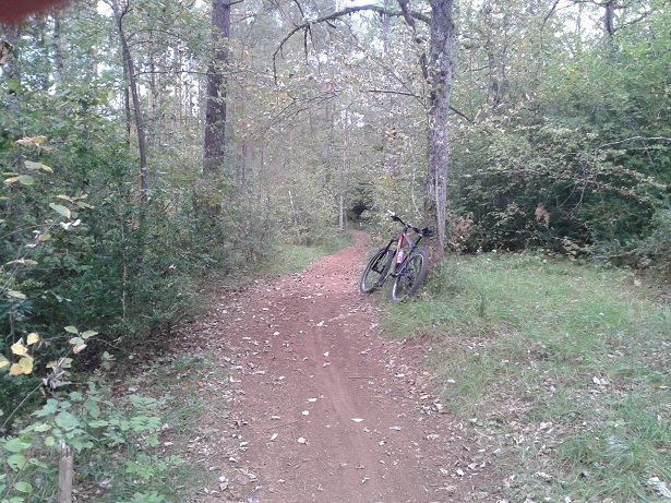 2012-09-19_15_51_15.jpg