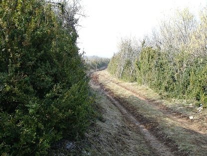DSC00007.JPG