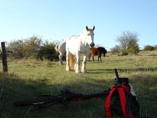 sortie_vtt_sur_les_hauteurs_de_givry_en_bourgogne016.JPG