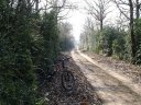 DSC00016.JPG