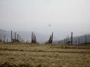 DSC00017.JPG