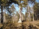 Photo0375.jpg